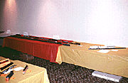 WP model display