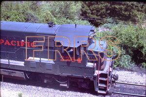 Red_Box_4_Westwood_-_Keddie_IMG00005_thumbnail.jpg