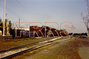PICT3038_thumbnail.jpg
