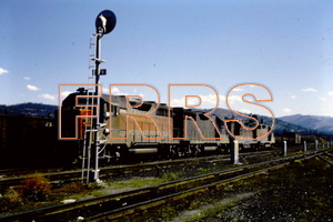 PICT3308_thumbnail.jpg