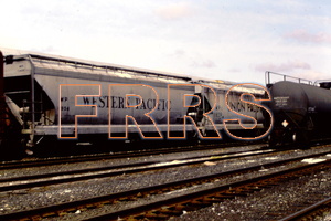 PICT3999_thumbnail.jpg