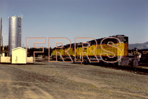 PICT5320_thumbnail.jpg