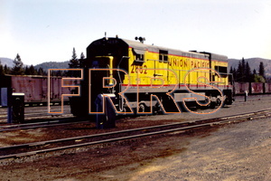 PICT5321_thumbnail.jpg