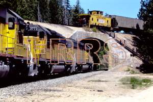 PICT5336_thumbnail.jpg