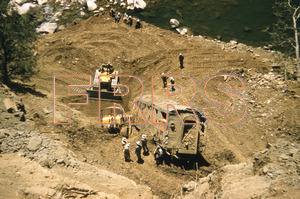 nh_d1_r3_295_thumbnail.jpg