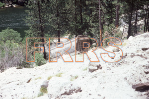 nh_d4_r4_249_thumbnail.jpg