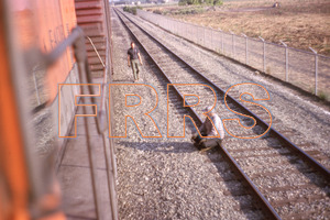 nh_d4_r5_237_thumbnail.jpg