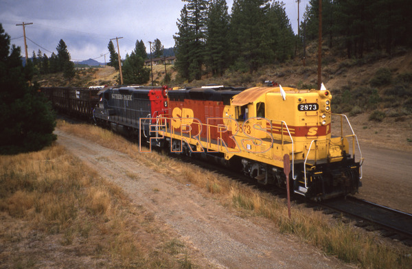 SP_2873