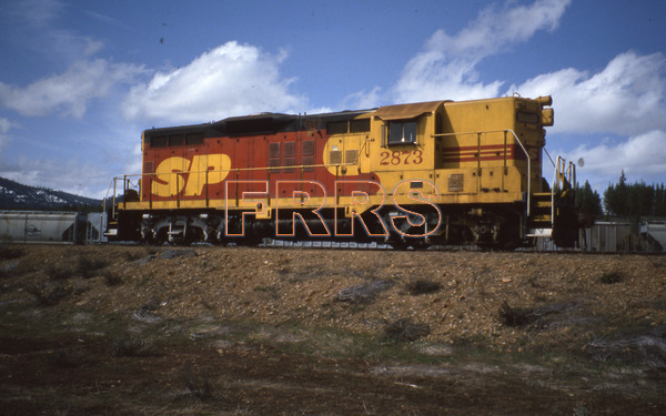SP_2873