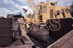 nh_d5_r3_307_thumbnail.jpg