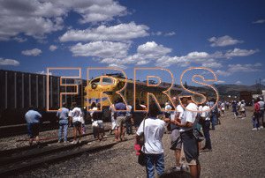 nh_d5_r4_190_thumbnail.jpg