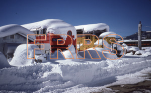 nh_d5_r5_001_thumbnail.jpg