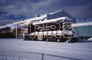 nh_d5_r5_036_thumbnail.jpg