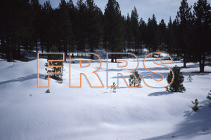 nh_d5_r5_045_thumbnail.jpg