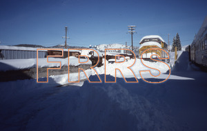 nh_d5_r5_053_thumbnail.jpg