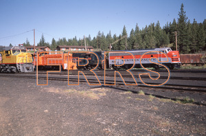 nh_d5_r5_077_thumbnail.jpg