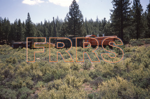 nh_d5_r5_079_thumbnail.jpg