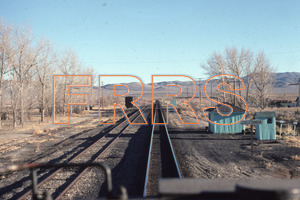 Paul_Gordenev_WPPG_01051_thumbnail.jpg