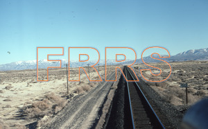Paul_Gordenev_WPPG_01063_thumbnail.jpg