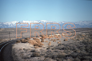 Paul_Gordenev_WPPG_01064_thumbnail.jpg