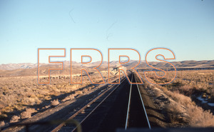 Paul_Gordenev_WPPG_01074_thumbnail.jpg