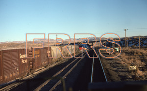 Paul_Gordenev_WPPG_01076_thumbnail.jpg