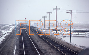Paul_Gordenev_WPPG_01142_thumbnail.jpg