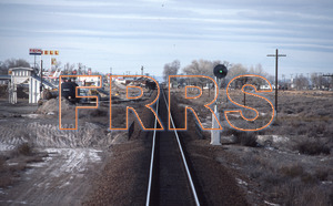Paul_Gordenev_WPPG_01179_thumbnail.jpg