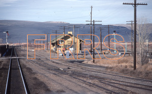 Paul_Gordenev_WPPG_01181_thumbnail.jpg