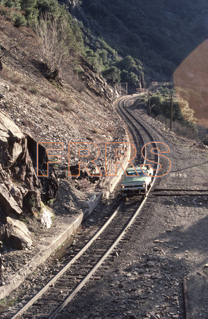 Paul_Gordenev_WPPG_01228_thumbnail.jpg