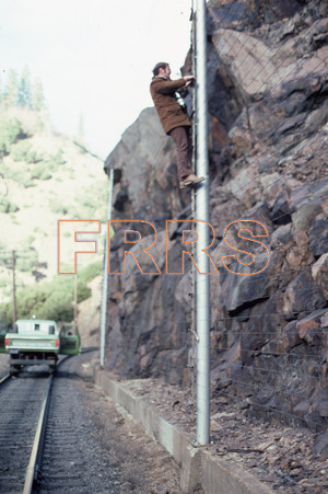 Paul_Gordenev_WPPG_01231_thumbnail.jpg
