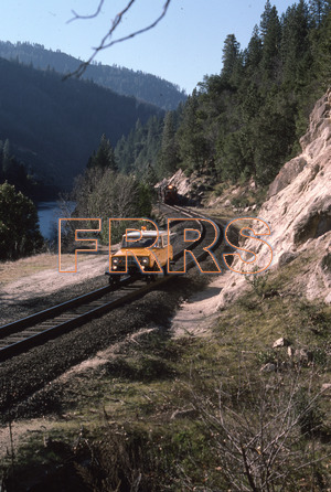 Paul_Gordenev_WPPG_01243_thumbnail.jpg