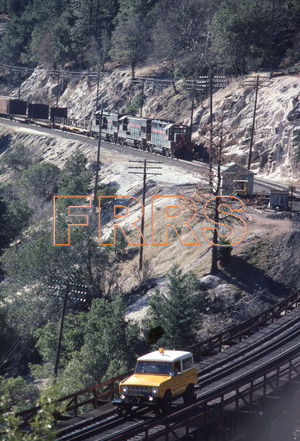 Paul_Gordenev_WPPG_01264_thumbnail.jpg