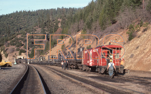 Paul_Gordenev_WPPG_01426_thumbnail.jpg