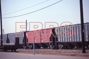 Paul_Gordenev_WPPG_01463_thumbnail.jpg