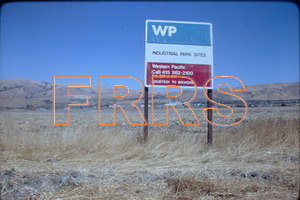 IMG00010_thumbnail.jpg
