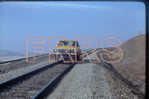 IMG00012_thumbnail.jpg