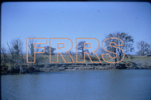 IMG00176_thumbnail.jpg
