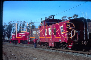IMG00026_thumbnail.jpg
