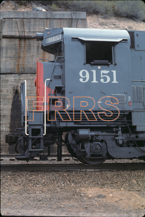 Staff_SP_-_006_R_thumbnail.jpg