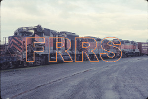 Staff_WP_-_004_R_thumbnail.jpg