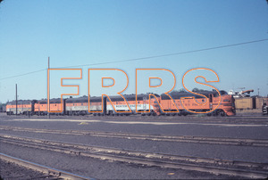 Staff_WP_-_018_R_thumbnail.jpg