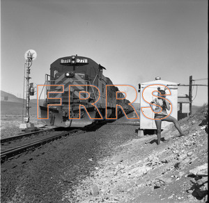 Staff_WP_-_038_R_thumbnail.jpg