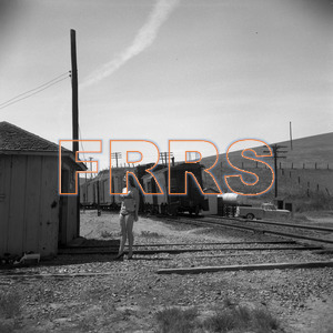 Staff_WP_-_041_R_thumbnail.jpg