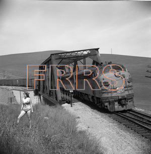 Staff_WP_-_042_R_thumbnail.jpg