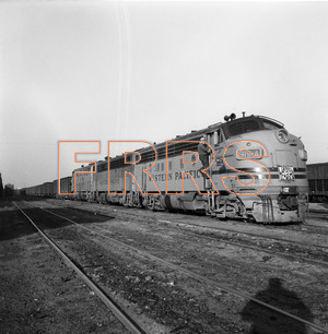 Staff_WP_-_045_R_thumbnail.jpg