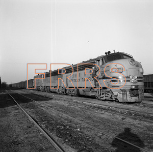 Staff_WP_-_046_R_thumbnail.jpg