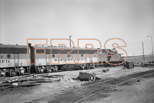 Staff_WP_-_049_R_thumbnail.jpg