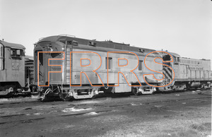 Staff_WP_-_054_R_thumbnail.jpg
