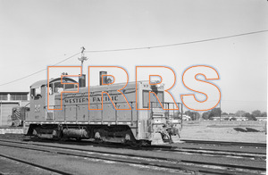 Staff_WP_-_055_R_thumbnail.jpg